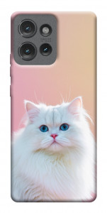 Чохол Pastel kitty для Motorola Edge 50