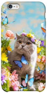Чохол Spring cat для iPhone 6 (4.7'')