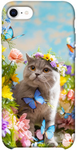 Чехол Spring cat для iPhone SE (2020)