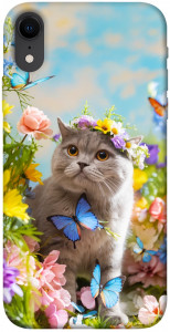 Чохол Spring cat для iPhone XR