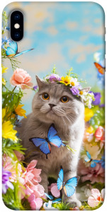 Чохол Spring cat для iPhone X
