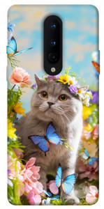 Чохол Spring cat для OnePlus 8