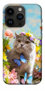 Чохол Spring cat для iPhone 14 Pro