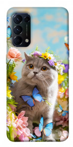 Чехол Spring cat для Oppo Reno 5 4G