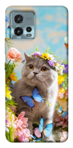 Чехол Spring cat для Motorola Moto G72