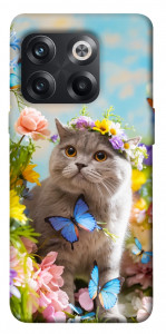 Чохол Spring cat для OnePlus 10T