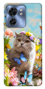 Чехол Spring cat для Motorola Edge 40
