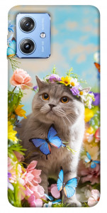 Чехол Spring cat для Motorola Moto G84
