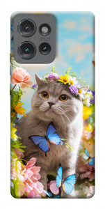 Чохол Spring cat для Motorola Edge 50