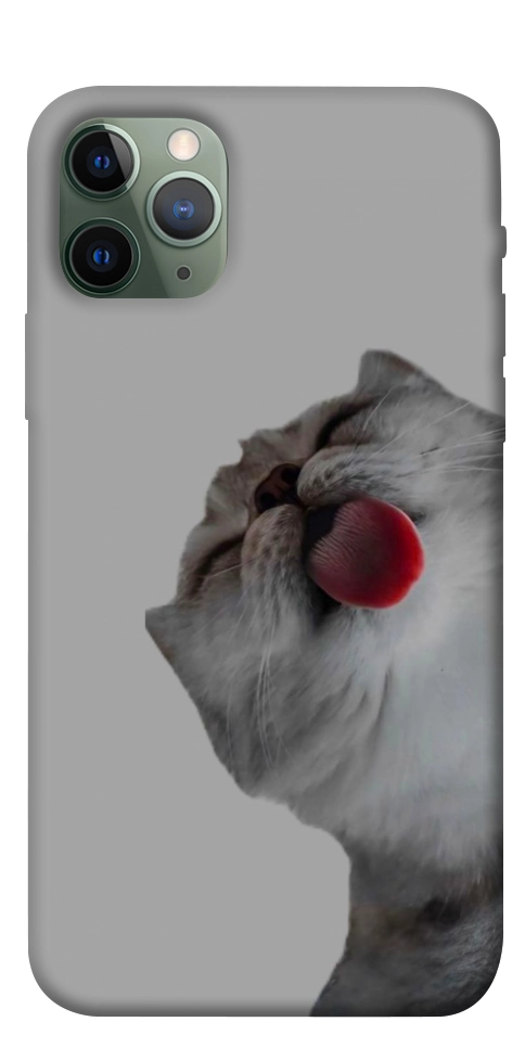 Чохол Washing time для iPhone 11 Pro