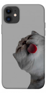 Чохол Washing time для iPhone 11