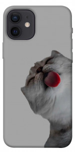 Чехол Washing time для iPhone 12