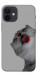 Чехол Washing time для iPhone 12 mini