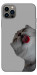 Чохол Washing time для iPhone 12 Pro
