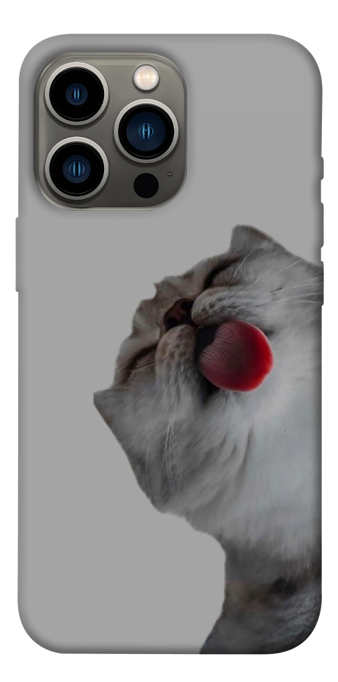 Чохол Washing time для iPhone 13 Pro
