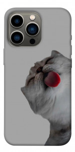 Чохол Washing time для iPhone 13 Pro