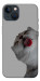Чохол Washing time для iPhone 13
