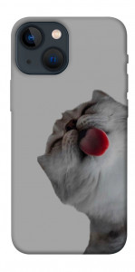 Чехол Washing time для iPhone 13 mini