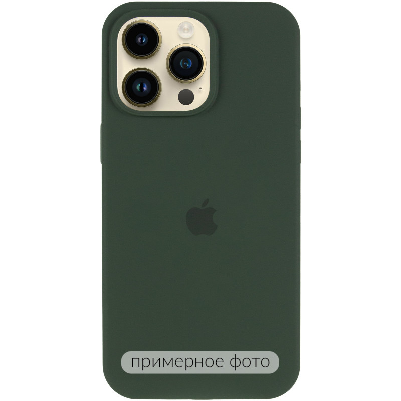 Фото Чехол Silk (AA) Logo with Magnetic Fit для Apple iPhone 16 Pro Max (6.9") (Зеленый / Cyprus Green) на vchehle.ua
