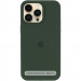 Фото Чехол Silk (AA) Logo with Magnetic Fit для Apple iPhone 16 Pro Max (6.9") (Зеленый / Cyprus Green) на vchehle.ua