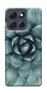 Чохол Сукуленти для Motorola Moto G86 5G