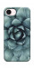 Чехол Суккуленты для iPhone 17e