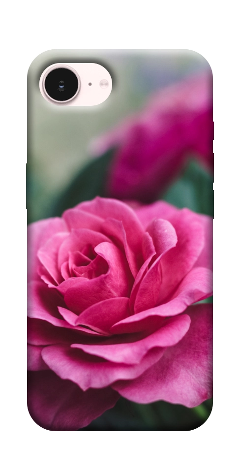 Чехол Роза в саду для iPhone 17e