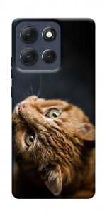 Чехол Рыжий кот для Motorola Moto G86 5G