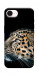 Чехол Leopard для iPhone 17e