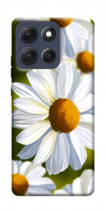 Чехол Ароматная ромашка для Motorola Moto G86 5G