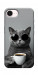 Чехол Grey cat coffee для iPhone 17e