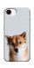 Чехол Smart dog для iPhone 17e