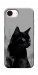 Чехол Smoke cat для iPhone 17e
