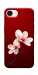 Чехол Sakura red для iPhone 17e