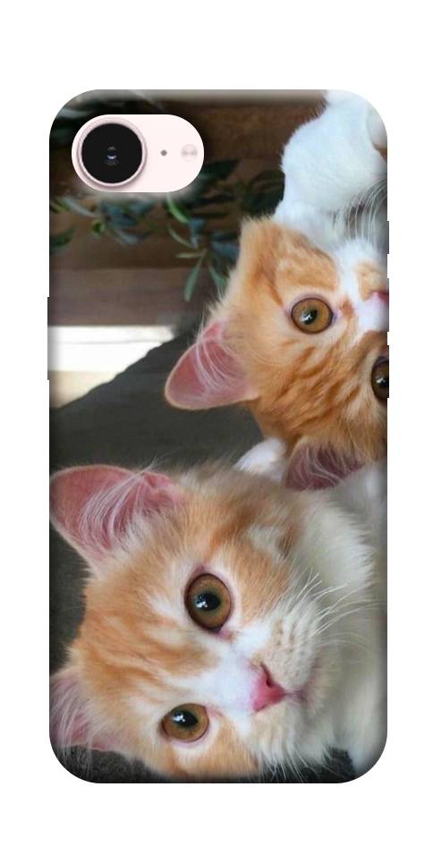 Чехол Fluffy Duo для iPhone 17e