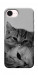 Чехол Grey cats для iPhone 17e