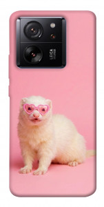 Чехол Белый хорёк для Xiaomi 13T