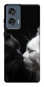 Чехол Black and white cats для Motorola Edge 50 Fusion