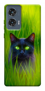 Чехол Cat in the grass для Motorola Edge 50 Fusion