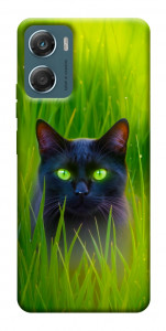 Чехол Cat in the grass для Motorola Moto G06