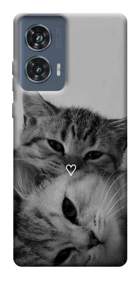 Чехол Grey cats для Motorola Edge 50 Fusion