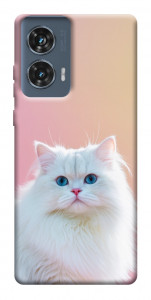 Чехол Pastel kitty для Motorola Edge 50 Fusion