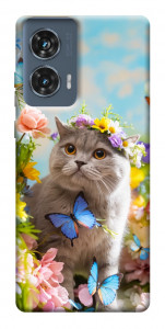 Чехол Spring cat для Motorola Edge 50 Fusion