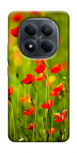 Чехол Маковое поле для Xiaomi Redmi Note 15 5G (EU)