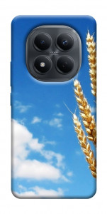 Чехол Пшеница для Xiaomi Redmi Note 15 5G (EU)