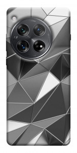 Чохол Silver для OnePlus 12