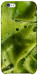 Чохол Ice matcha для iPhone 6
