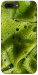 Чехол Ice matcha для iPhone 7 Plus