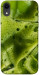 Чохол Ice matcha для iPhone XR