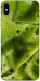 Чохол Ice matcha для iPhone XS Max